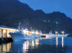 浜坂漁港