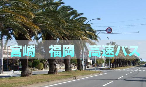 宮崎～福岡の高速バス｜３社の料金・時間を徹底比較！