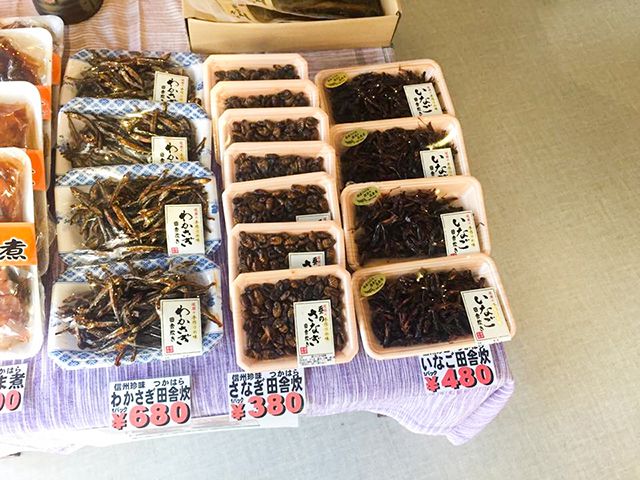 2.ターミナル内待合所情報